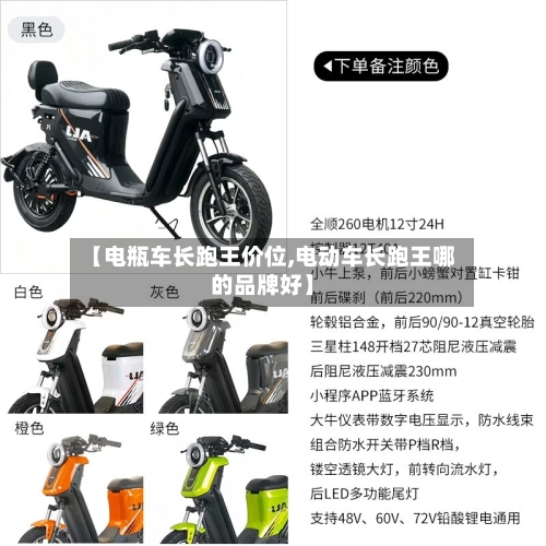 【电瓶车长跑王价位,电动车长跑王哪的品牌好】