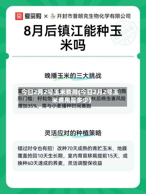 今日2月2号玉米费用(今日2月2号玉米费用是多少)-第3张图片