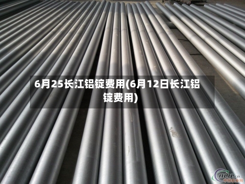 6月25长江铝锭费用(6月12日长江铝锭费用)-第2张图片