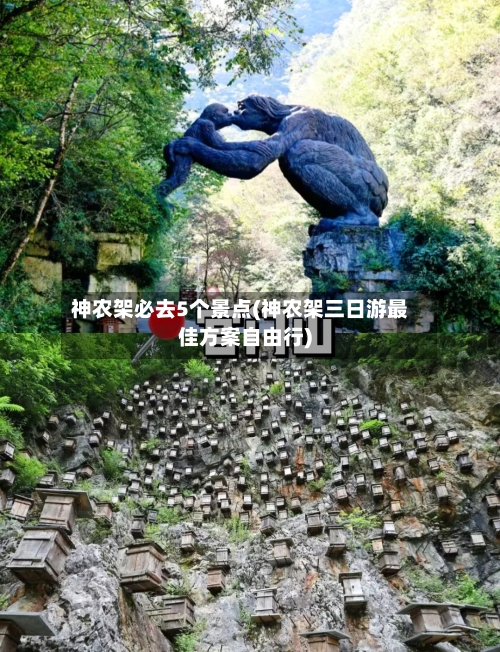 神农架必去5个景点(神农架三日游最佳方案自由行)-第3张图片