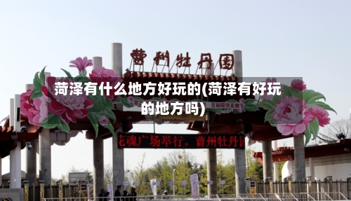 菏泽有什么地方好玩的(菏泽有好玩的地方吗)