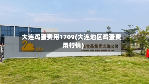 大连鸡蛋费用1709(大连地区鸡蛋费用行情)-第3张图片