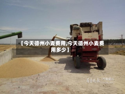 【今天德州小麦费用,今天德州小麦费用多少】-第2张图片