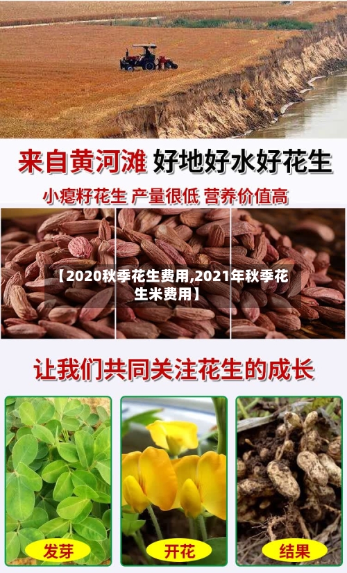 【2020秋季花生费用,2021年秋季花生米费用】
