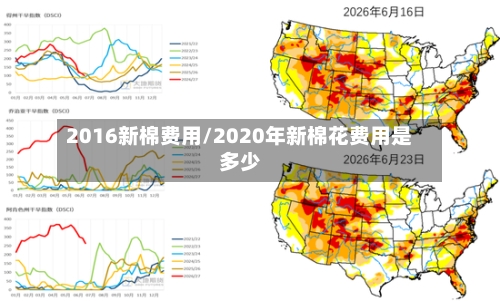 2016新棉费用/2020年新棉花费用是多少