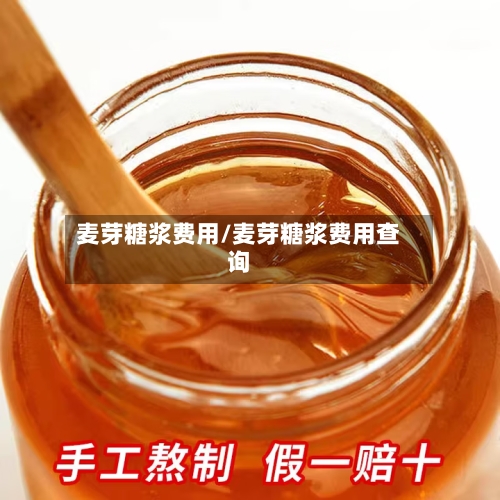麦芽糖浆费用/麦芽糖浆费用查询