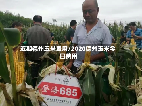 近期德州玉米费用/2020德州玉米今日费用