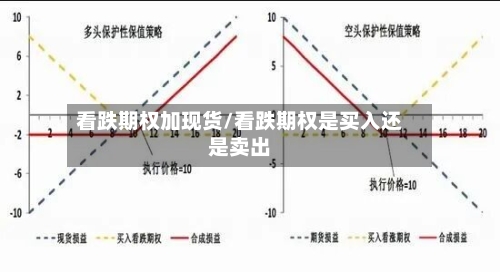 看跌期权加现货/看跌期权是买入还是卖出-第2张图片