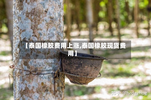 【泰国橡胶费用上涨,泰国橡胶现货费用】-第3张图片