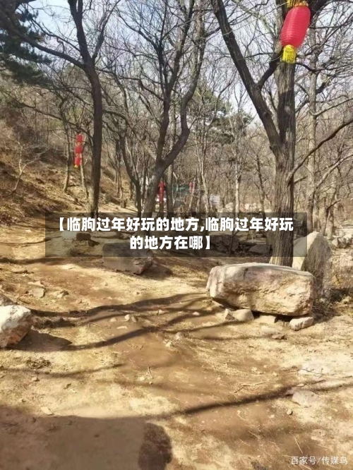 【临朐过年好玩的地方,临朐过年好玩的地方在哪】