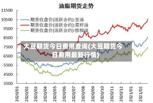 大豆期货今日费用查询(大豆期货今日费用最新行情)