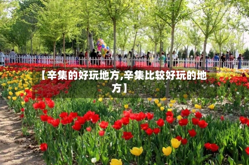 【辛集的好玩地方,辛集比较好玩的地方】