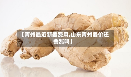 【青州最近新姜费用,山东青州姜价还会涨吗】
