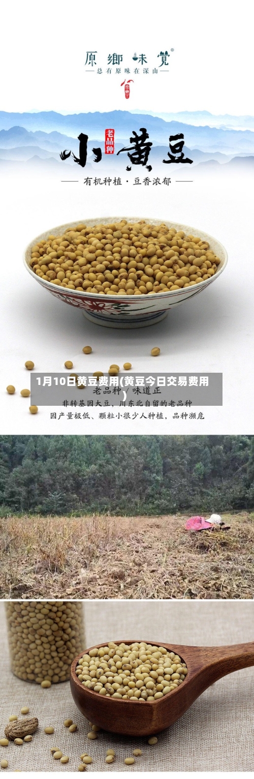 1月10日黄豆费用(黄豆今日交易费用)-第2张图片