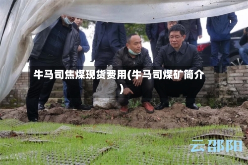 牛马司焦煤现货费用(牛马司煤矿简介)-第3张图片