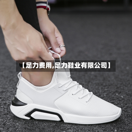 【足力费用,足力鞋业有限公司】-第2张图片