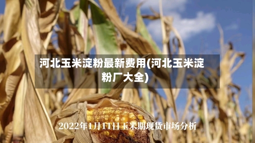 河北玉米淀粉最新费用(河北玉米淀粉厂大全)-第2张图片