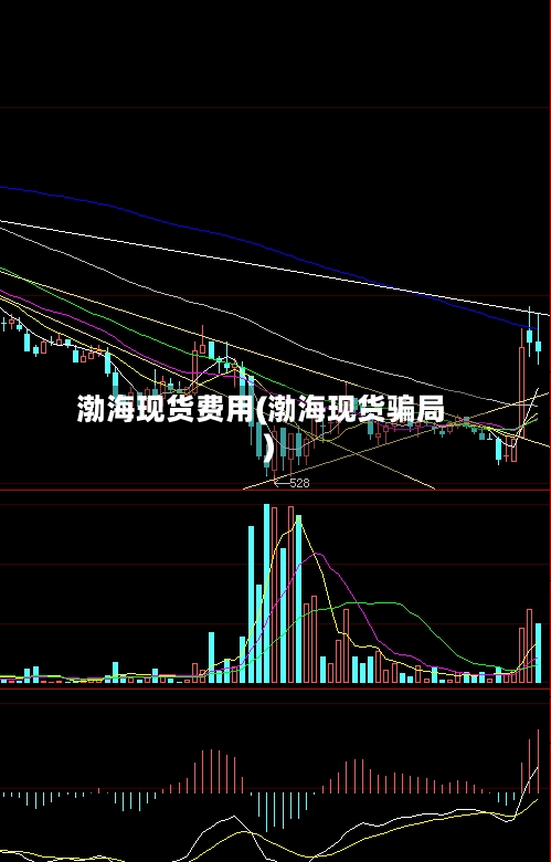 渤海现货费用(渤海现货骗局)-第2张图片