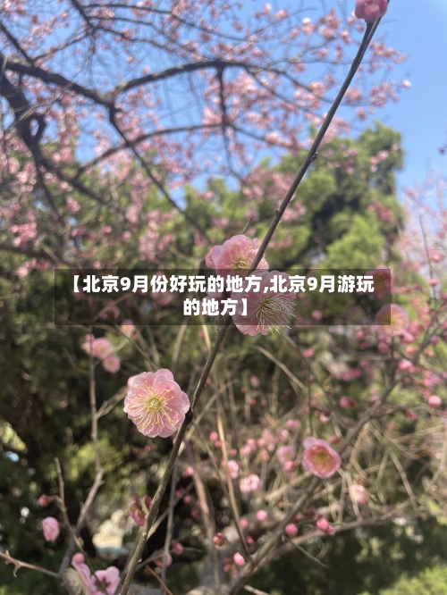 【北京9月份好玩的地方,北京9月游玩的地方】
