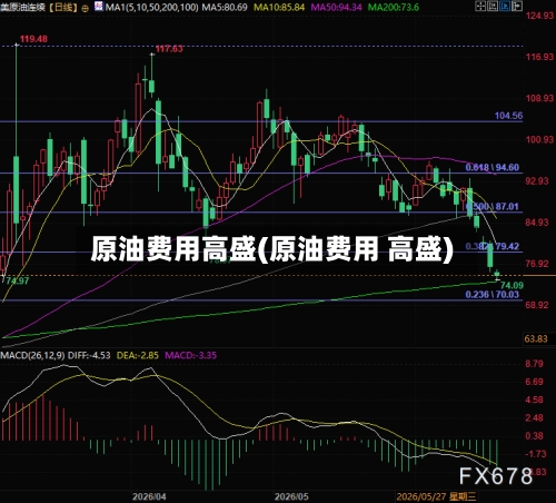 原油费用高盛(原油费用 高盛)