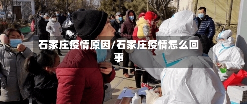 石家庄疫情原因/石家庄疫情怎么回事
