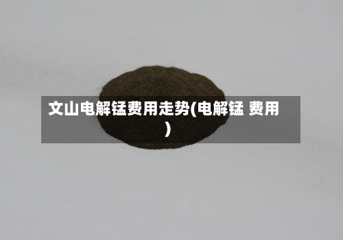 文山电解锰费用走势(电解锰 费用)