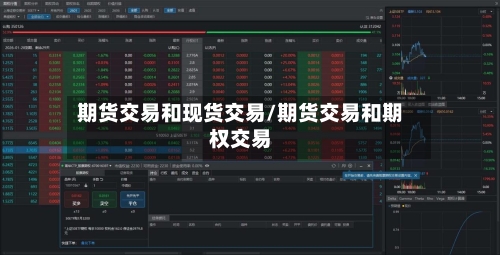 期货交易和现货交易/期货交易和期权交易-第2张图片