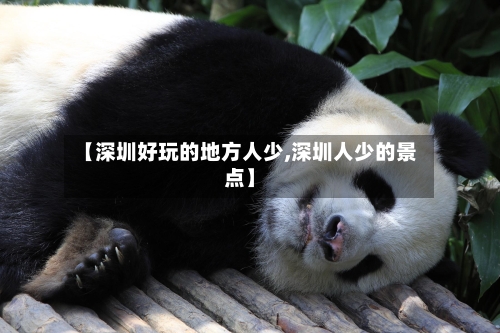 【深圳好玩的地方人少,深圳人少的景点】