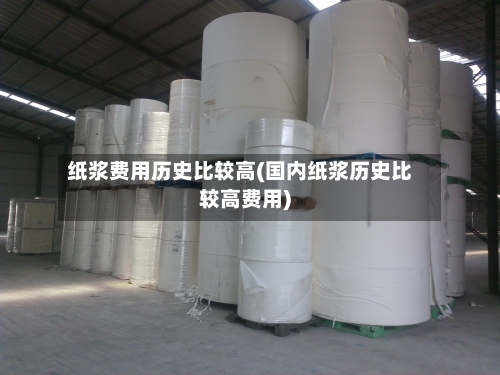 纸浆费用历史比较高(国内纸浆历史比较高费用)