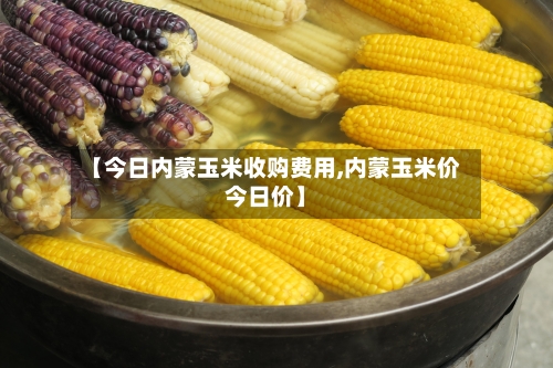 【今日内蒙玉米收购费用,内蒙玉米价今日价】-第3张图片
