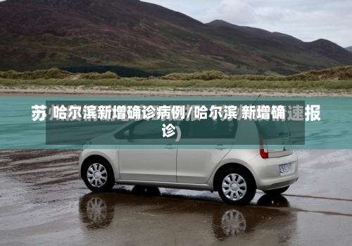 哈尔滨新增确诊病例/哈尔滨 新增确诊
