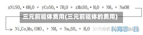 三元前驱体费用(三元前驱体的费用)-第3张图片