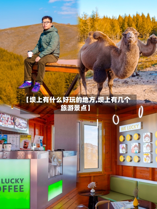 【坝上有什么好玩的地方,坝上有几个旅游景点】
