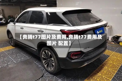 【奔腾t77图片及费用,奔腾t77费用及图片 配置】-第3张图片