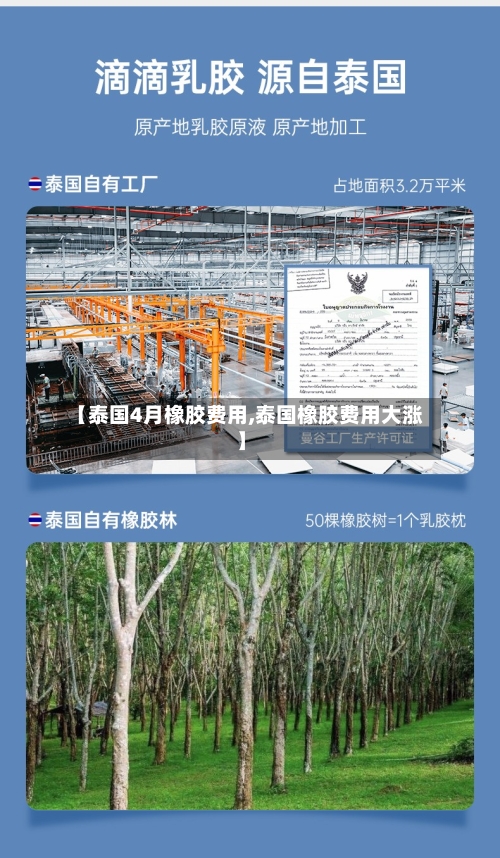 【泰国4月橡胶费用,泰国橡胶费用大涨】-第2张图片