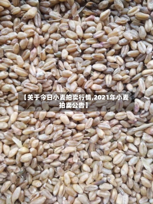 【关于今日小麦拍卖行情,2021年小麦拍卖公告】-第2张图片