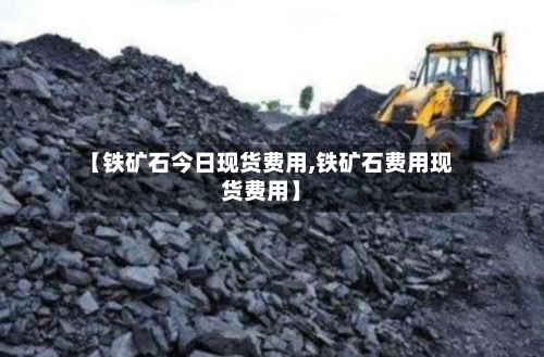 【铁矿石今日现货费用,铁矿石费用现货费用】