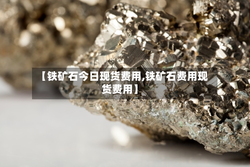 【铁矿石今日现货费用,铁矿石费用现货费用】-第3张图片