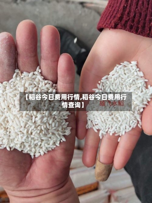 【稻谷今日费用行情,稻谷今日费用行情查询】
