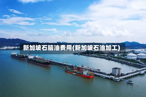 新加坡石脑油费用(新加坡石油加工)