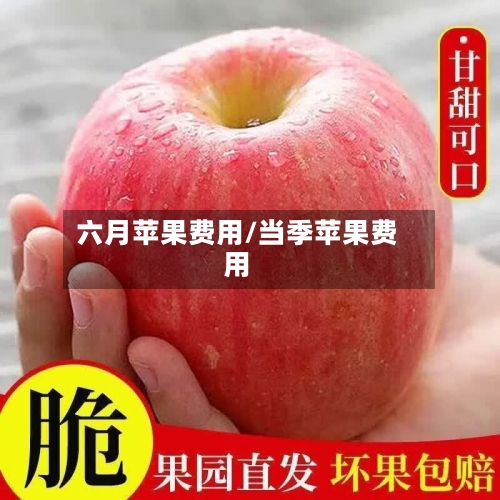 六月苹果费用/当季苹果费用-第2张图片