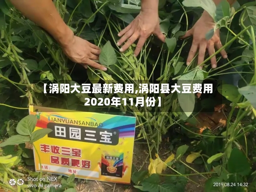 【涡阳大豆最新费用,涡阳县大豆费用2020年11月份】-第2张图片