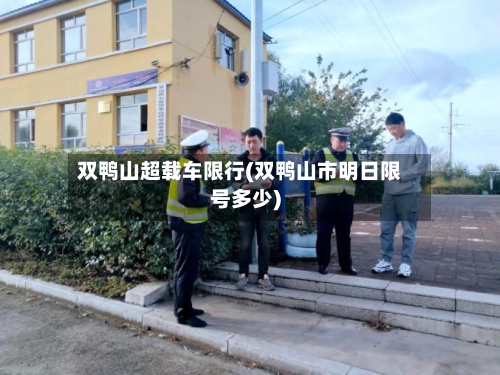 双鸭山超载车限行(双鸭山市明日限号多少)