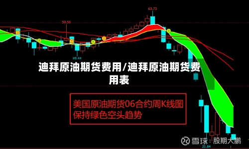 迪拜原油期货费用/迪拜原油期货费用表-第2张图片