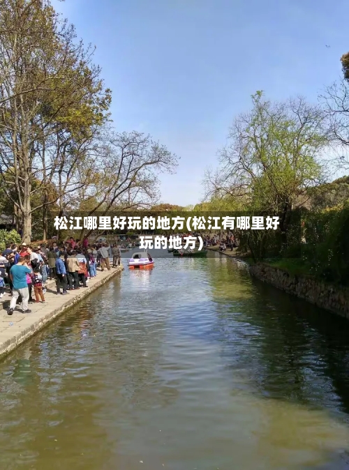 松江哪里好玩的地方(松江有哪里好玩的地方)-第2张图片