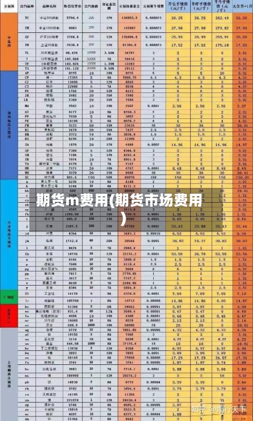 期货m费用(期货市场费用)