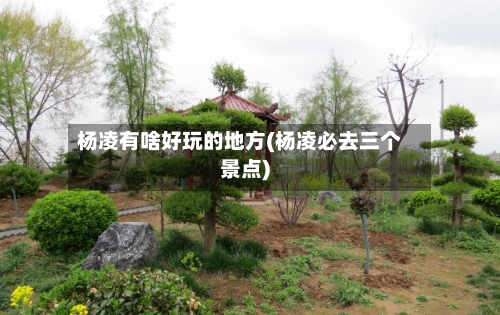 杨凌有啥好玩的地方(杨凌必去三个景点)
