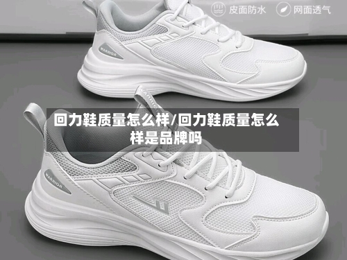 回力鞋质量怎么样/回力鞋质量怎么样是品牌吗-第2张图片