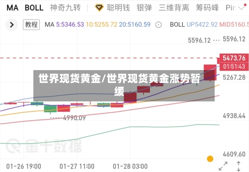 世界现货黄金/世界现货黄金涨势暂缓