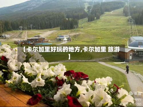 【卡尔加里好玩的地方,卡尔加里 旅游】